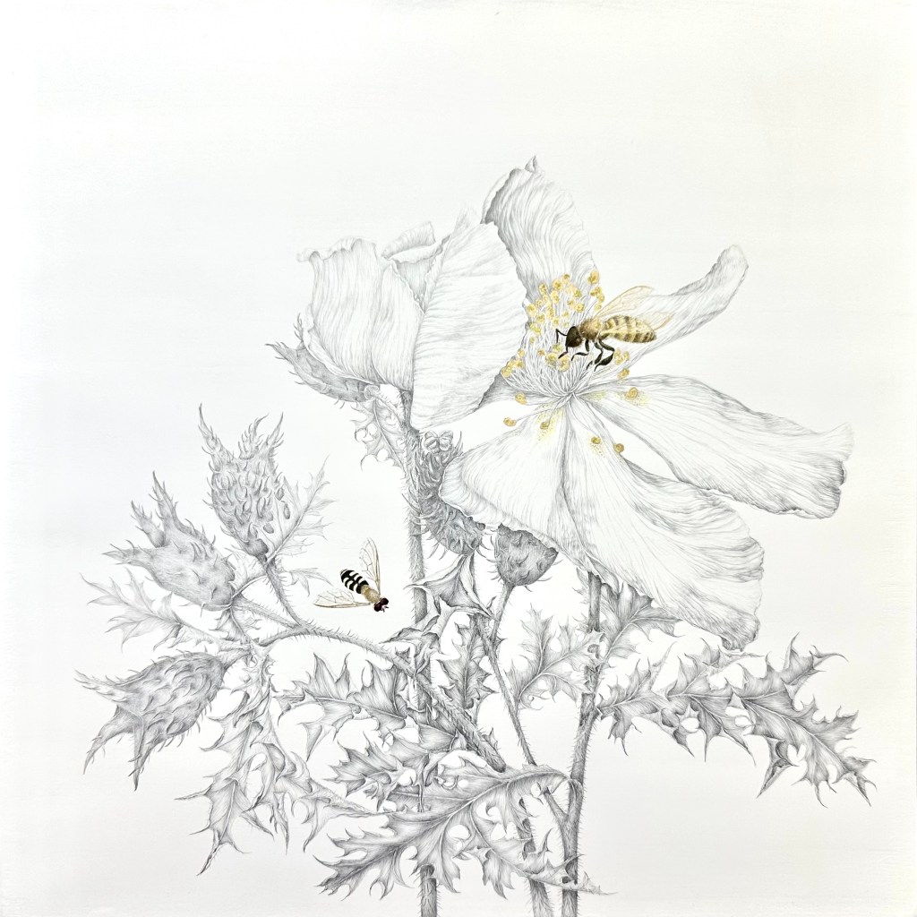 Exhibition: American Society of Botanical Artists 27th International Exhibition 
Private Collection